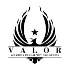 V A L O R WARRIOR RESILIENCY PROGRAMS