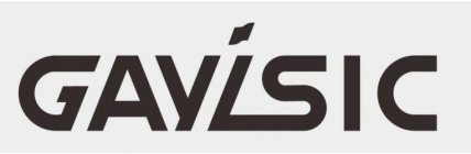 GAYISIC