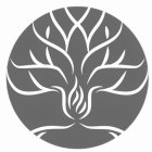 Image Trademark