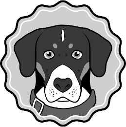 Image Trademark