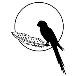 Image Trademark