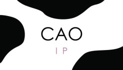 CAO IP