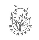 BALANKUR
