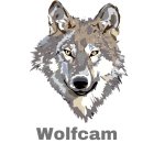 WOLFCAM