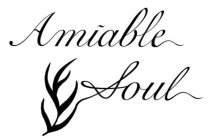 AMIABLE SOUL