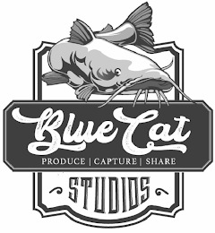 BLUE CAT PRODUCE CAPTURE SHARE STUDIOS