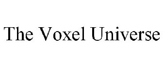 THE VOXEL UNIVERSE