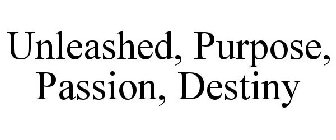 UNLEASHED PURPOSE PASSION DESTINY