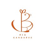 BIGKANGAROO