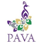 PAVA