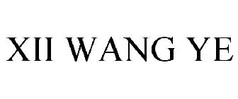 XII WANG YE