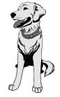 Image Trademark