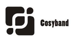 COSYBAND