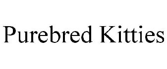 PUREBRED KITTIES