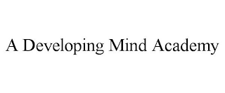 A DEVELOPING MIND ACADEMY