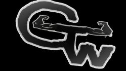 GTW (GET THIS WORK)