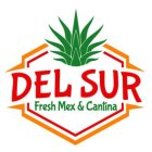 DEL SUR FRESH MEX & CANTINA