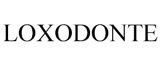 LOXODONTE