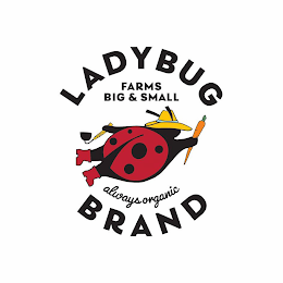 LADYBUG BRAND FARMS BIG & SMALL ALWAYS ORGANIC