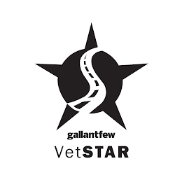 GALLANTFEW VETSTAR