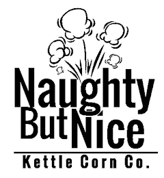 NAUGHTY BUT NICE KETTLE CORN CO.