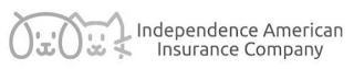 INDEPENDENCE AMERICAN INSURANCE COMPANY