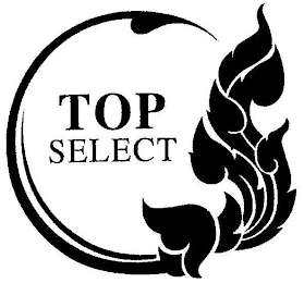 TOP SELECT