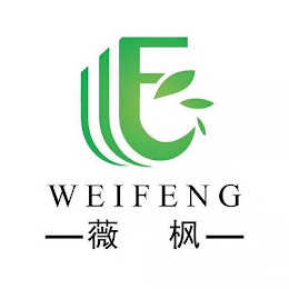 E WEIFENG