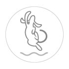 Image Trademark