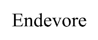 ENDEVORE