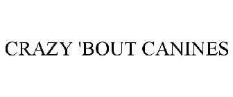 CRAZY 'BOUT CANINES