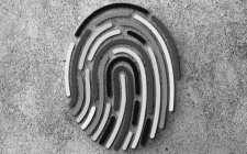 Image Trademark