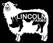 LINCOLN FARMS