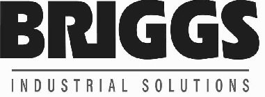 BRIGGS INDUSTRIAL SOLUTIONS