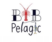 BB PELAGIC