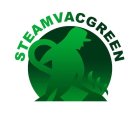 STEAMVACGREEN