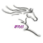 BTLLC