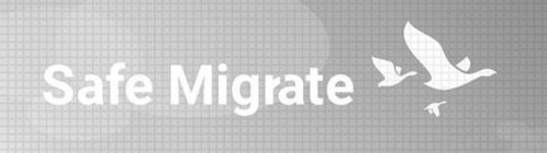 SAFE MIGRATE