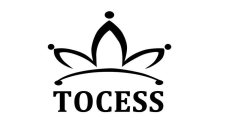 TOCESS