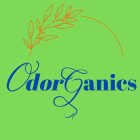 ODORGANICS