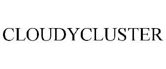 CLOUDYCLUSTER