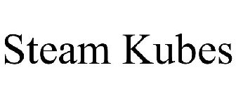 STEAM KUBES