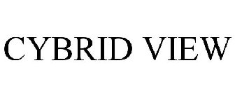 CYBRID VIEW