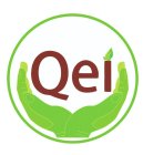 QEI