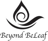 BEYOND BELEAF