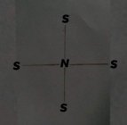 N S S S S