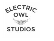 ELECTRIC OWL STUDIOS