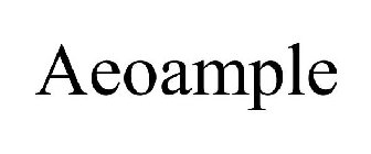 AEOAMPLE