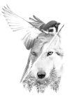 Image Trademark