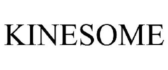 KINESOME